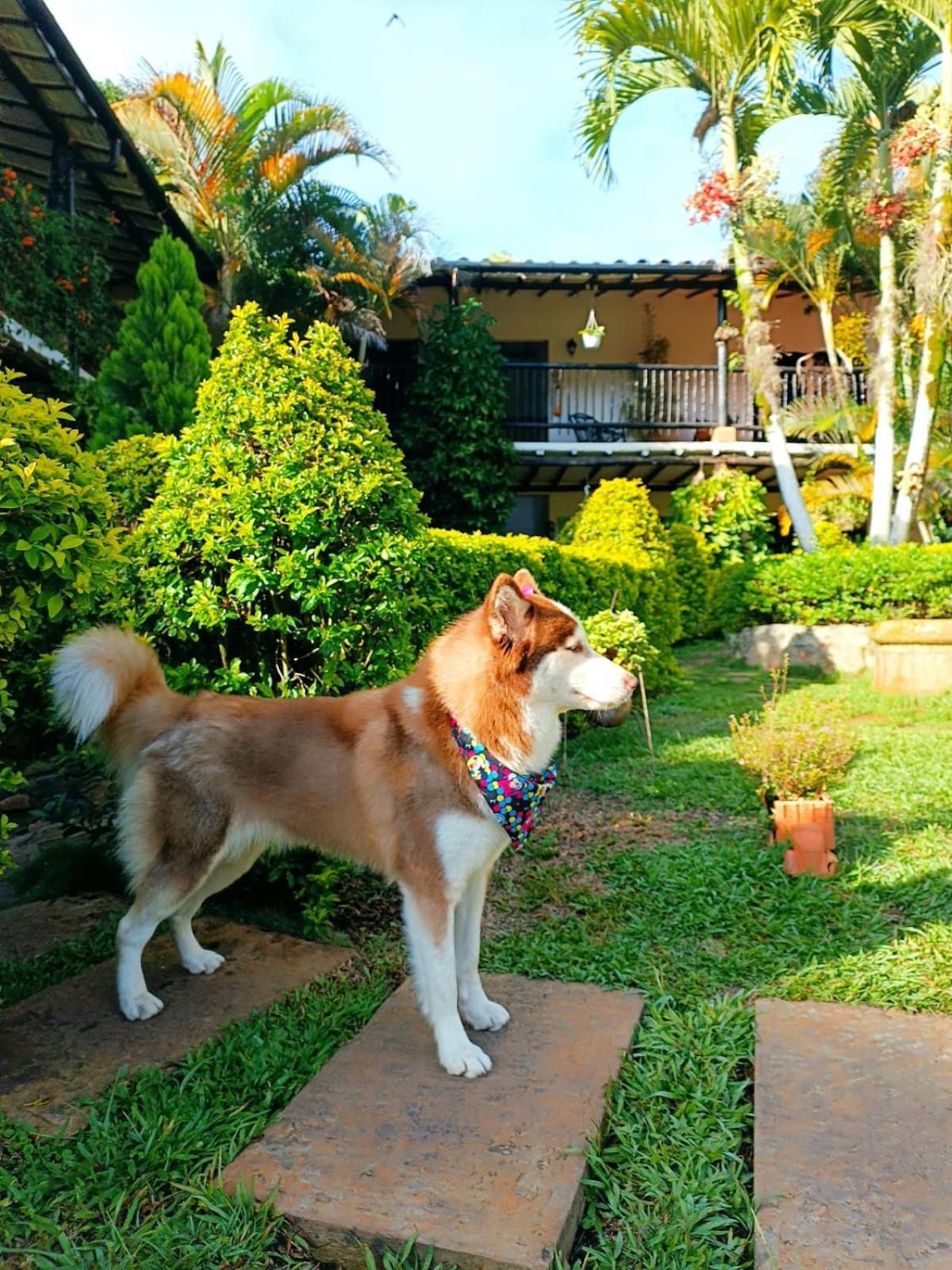 Hotel Campestre Casona Del Camino Real 산힐 외부 사진